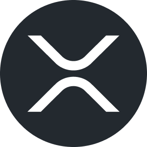 엑스알피 [리플]